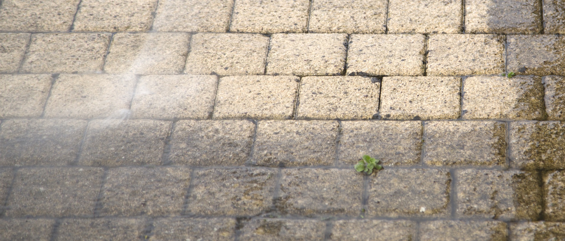 flagging and patios SW19