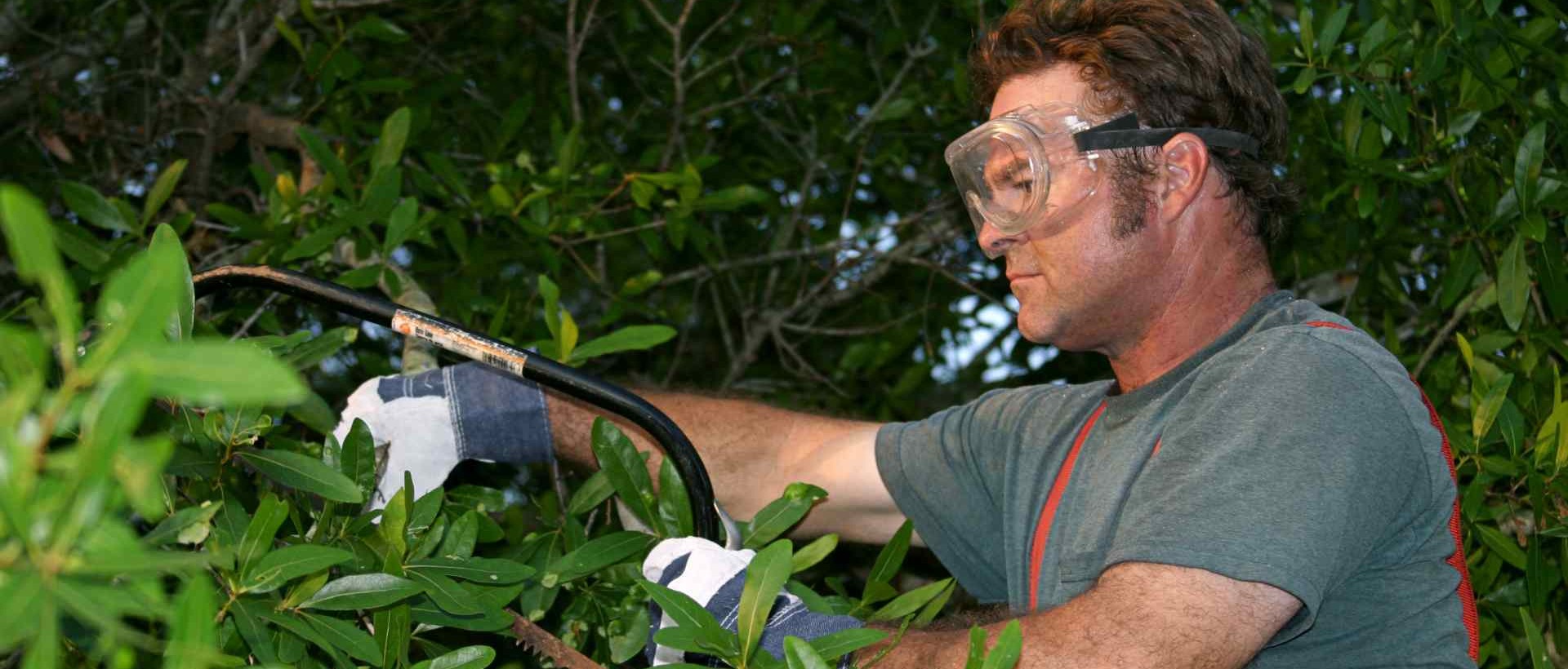 garden clearance SW19